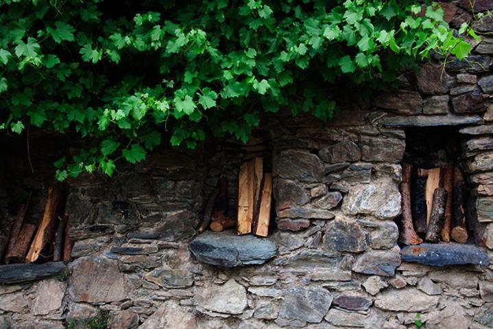 Hotel Can Coderch Ribes De Freser Exterior foto